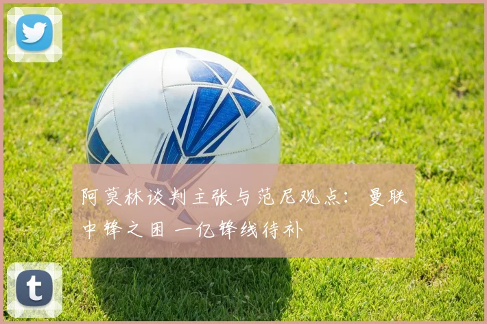 阿莫林谈判主张与范尼观点：曼联中锋之困 一亿锋线待补